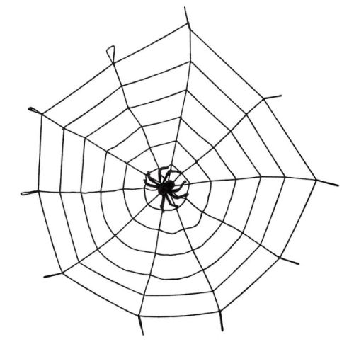 Spinnenweb elastisch met spin