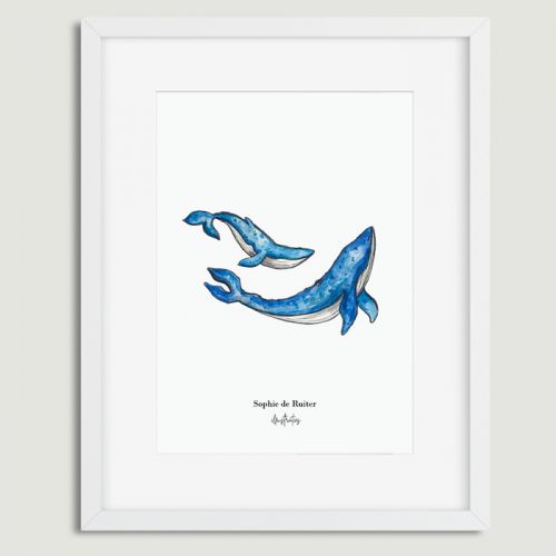Aquarel illustratie walvis door Sophie de Ruiter