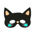 Happy Halloween masker zwarte kat