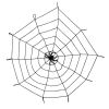Spinnenweb elastisch met spin