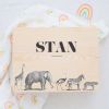 Memorybox baby animal party