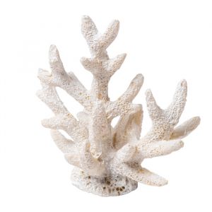 Tafeldecoratie koraal wit (2st)
